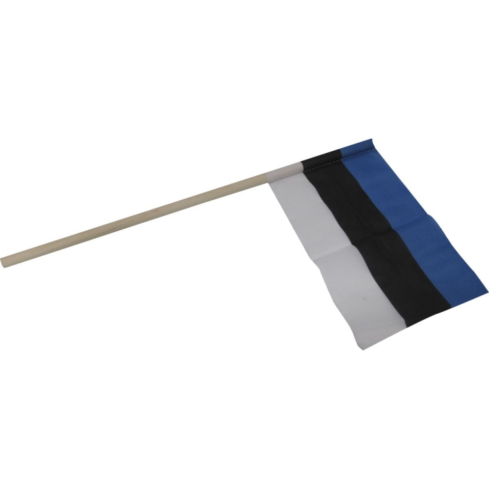 Käsilipp 14x21cm Eesti.jpg