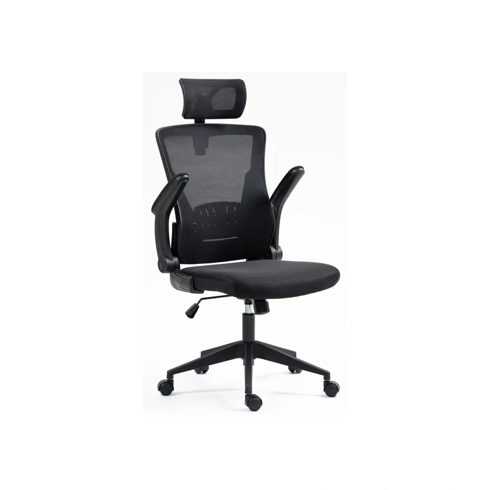 Tool Evita Air- must riie.webp