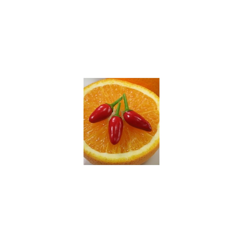 chili mandarin küünla aroomiõli.jpg