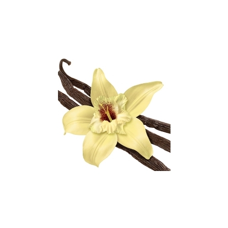 Küünla aroomiõli 30ml French Vanilla IPR