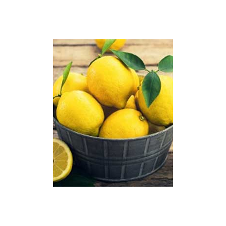Küünla aroomiõli 30ml Lemon - Sidrun