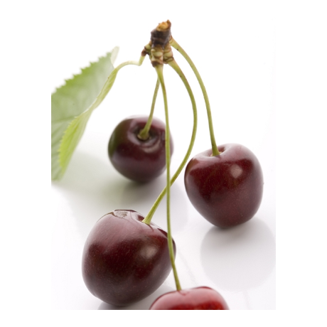 Küünla aroomiõli 10ml Wild Cherry - Metsik Kirss