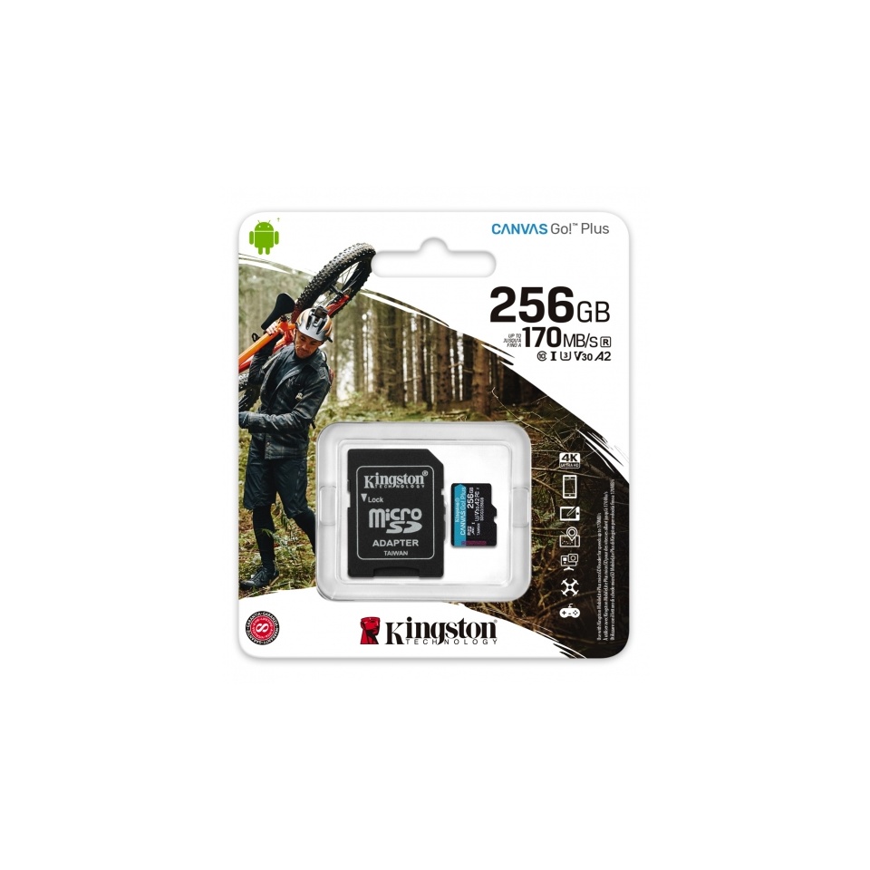 Mälukaart 256GB MicroSD Kingston Go 4KU3