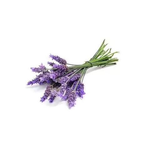 Seebi aroomiõli 10ml Lavendel