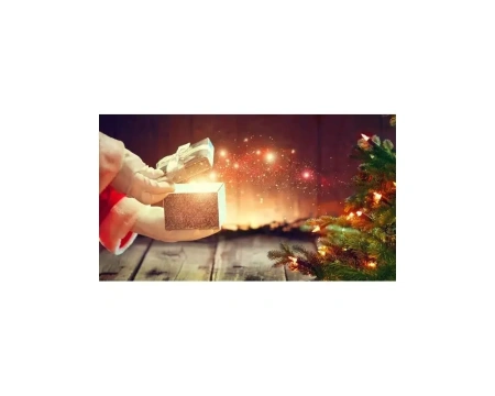 Aroomiõli Christmas Magic 20ml