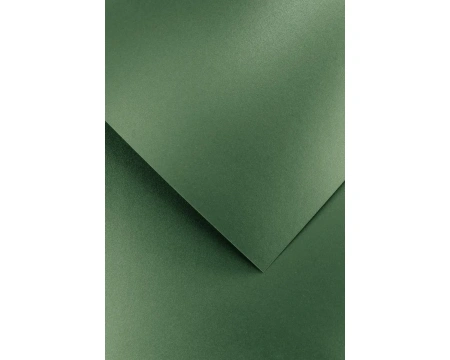 Disainpaber A4/200g Brillo roheline 20lk