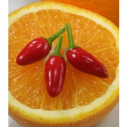 Küünla aroomiõli 500ml Chili Mandarin