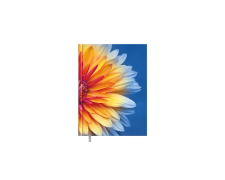 Kalendermärkmik Kantsler Päev Dahlia