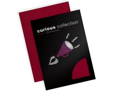 Kalka Curious A4 50lehte punane/red lac