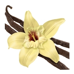 Küünla aroomiõli 500ml French Vanilla