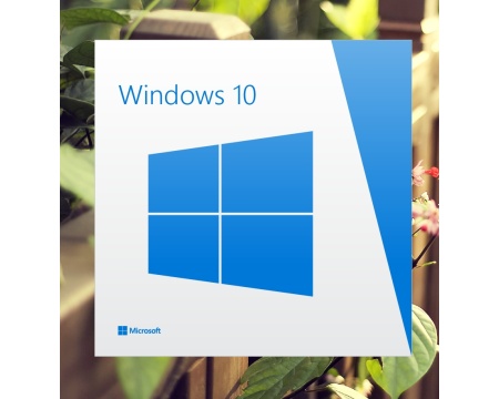 MS Win 10 64-bit rus OEM