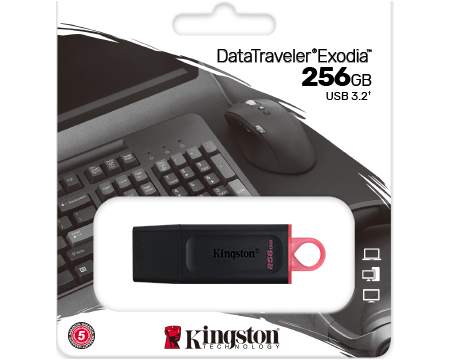 Mälupulk 256GB Kingston Traveler Exodia