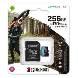 Mälukaart 256GB MicroSD Kingston Go 4KU3