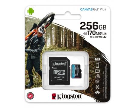 Mälukaart 256GB MicroSD Kingston Go 4KU3