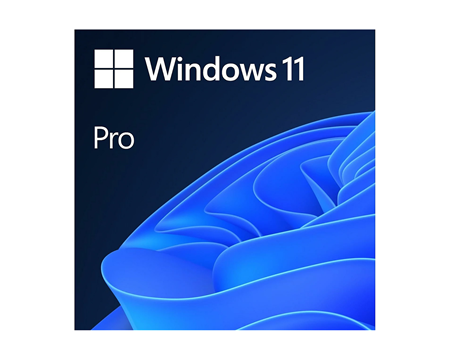 MS Win 11 Pro 64-bit Eng OEM