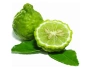 Aroomiõli Bergamot IPRA 20ml.webp