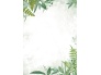 Disainpaber A4/100g 50L FLORA