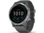 Garmin Vivoactive 4 GPS,WiFi Gray/silver